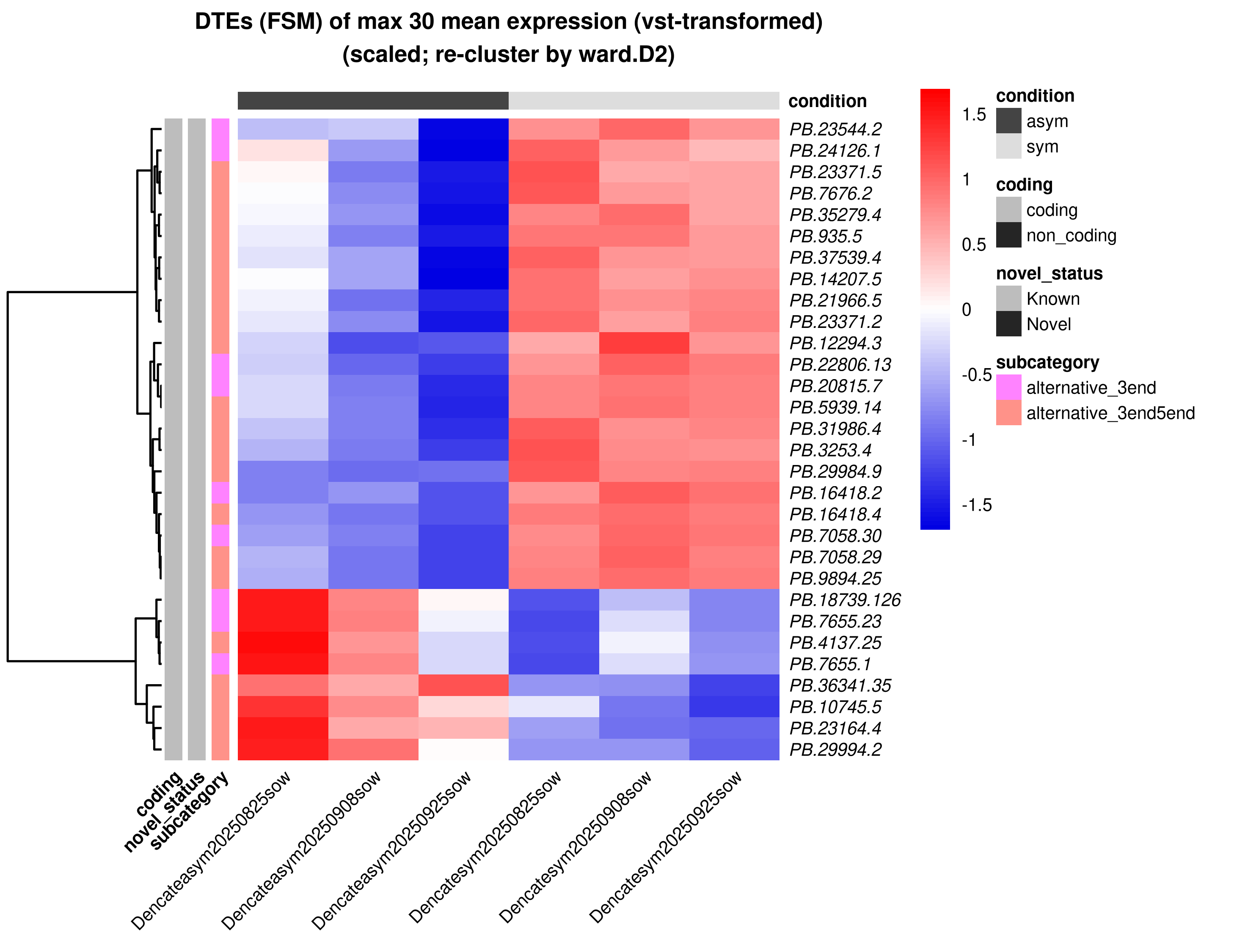 Top FSM isoform expression heatmap