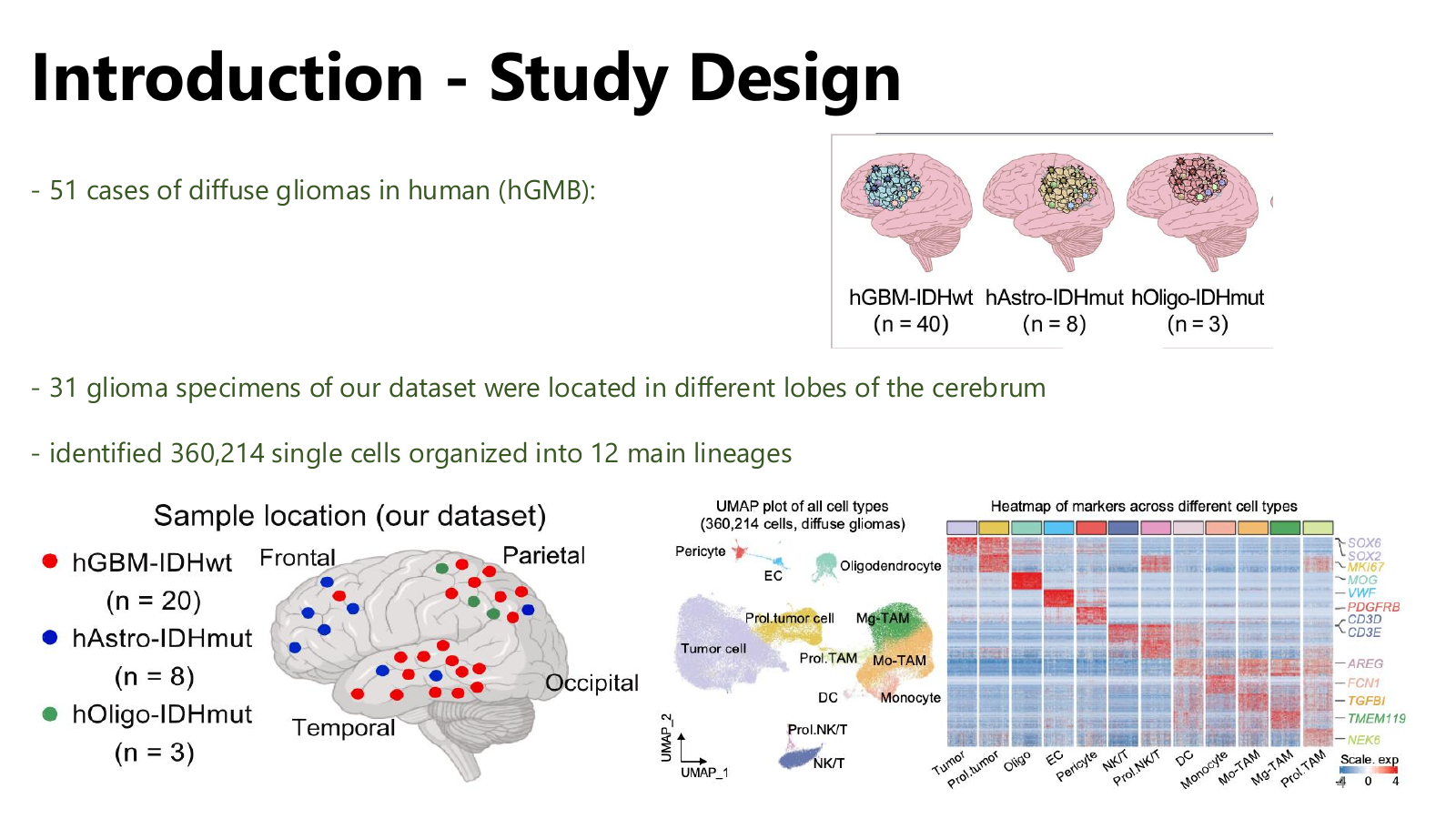 Slides — page 4