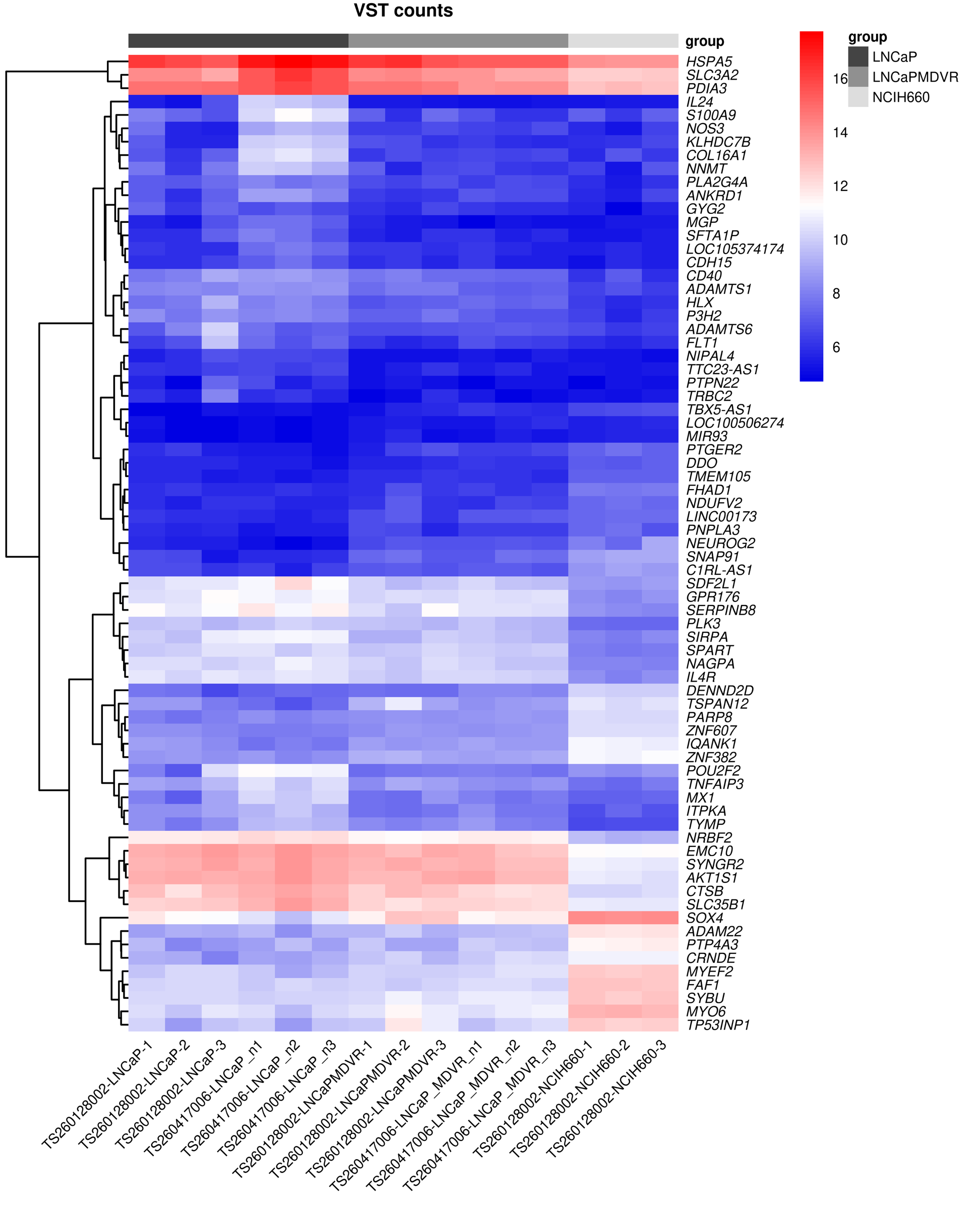 Target-gene expression heatmap