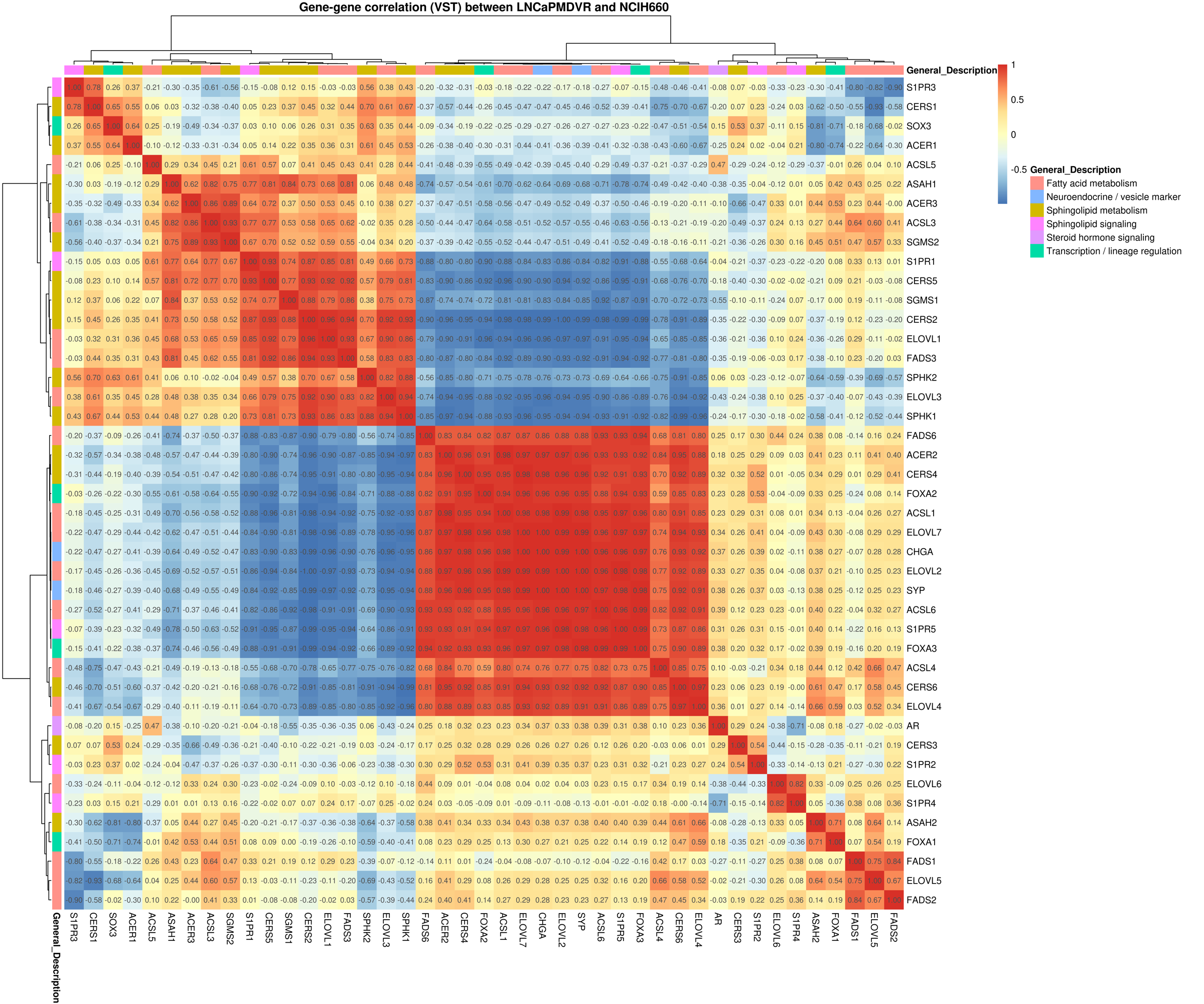 Target lipid-gene Pearson correlation heatmap