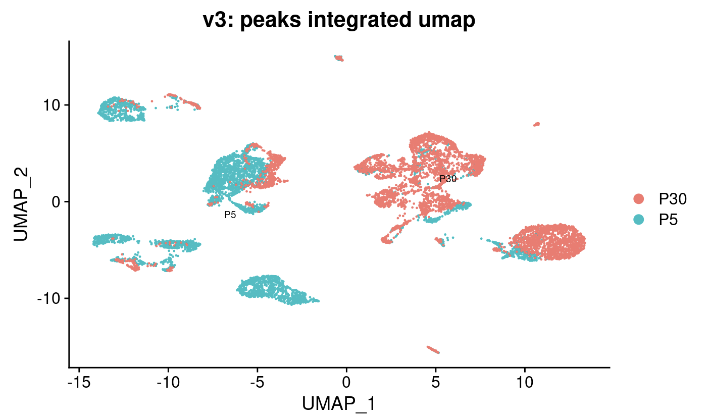 split and normalization (peaks assay)