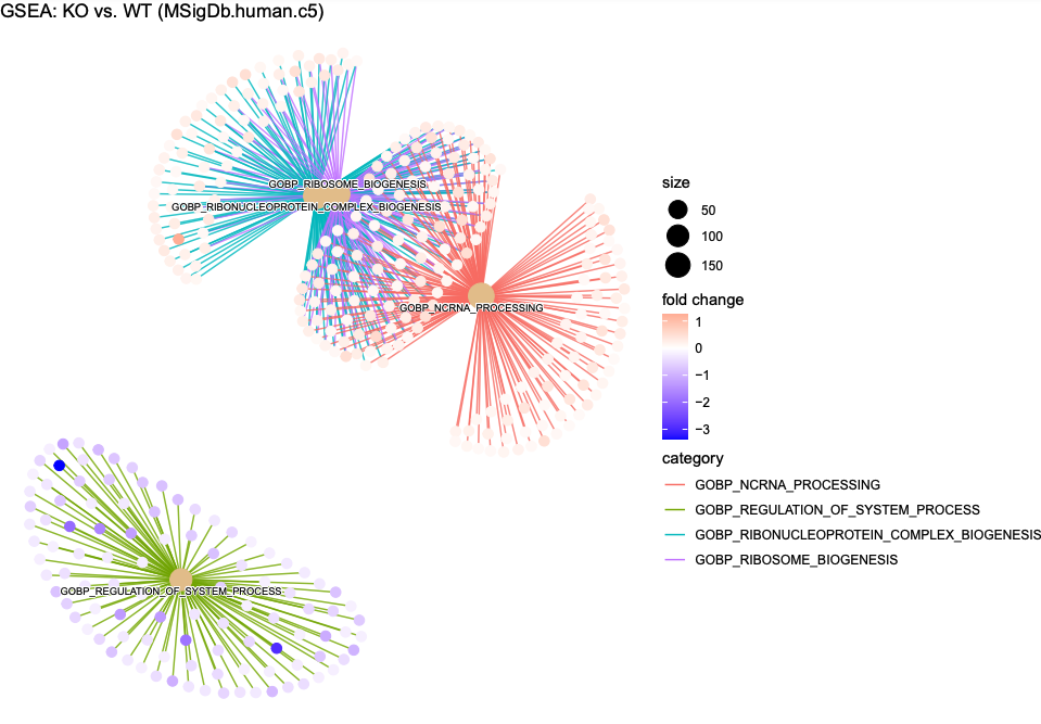 Cnetplot
