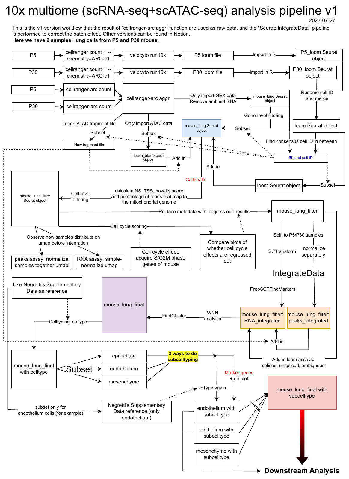 10x Multiome RNA–ATAC workflow