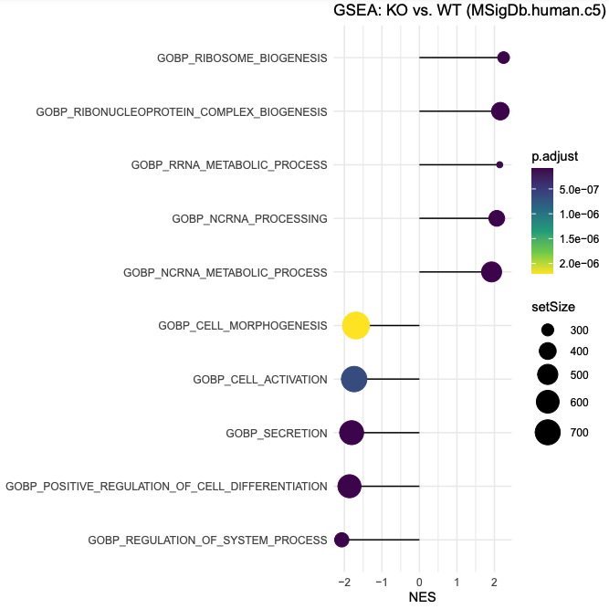 Dotplot