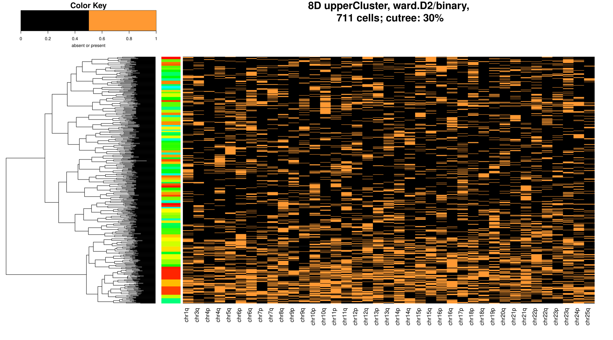 Cell-by-chromosome-arm calls in the selected cluster