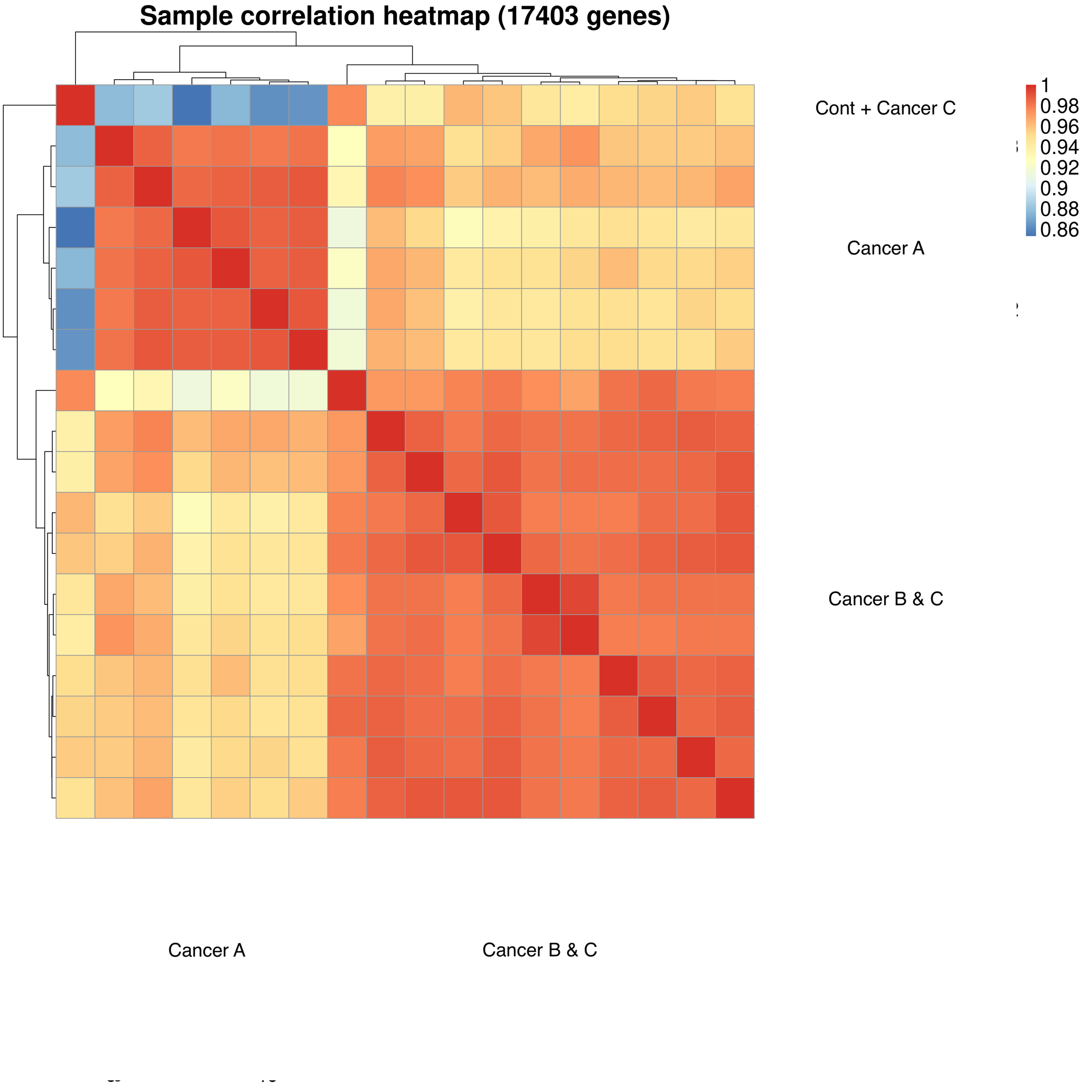 Sample correlations across cancer and treatment groups