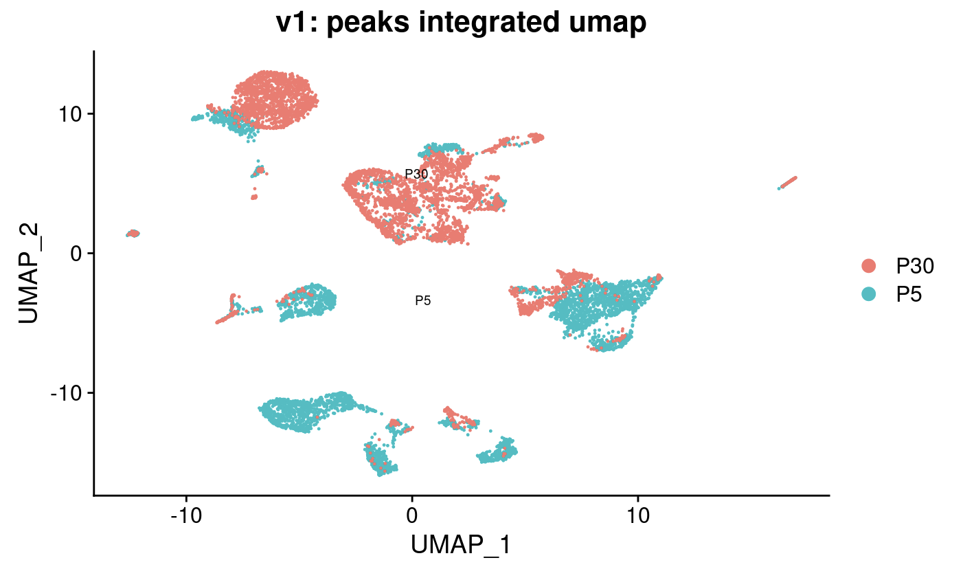 Split and normalization (peaks assay)