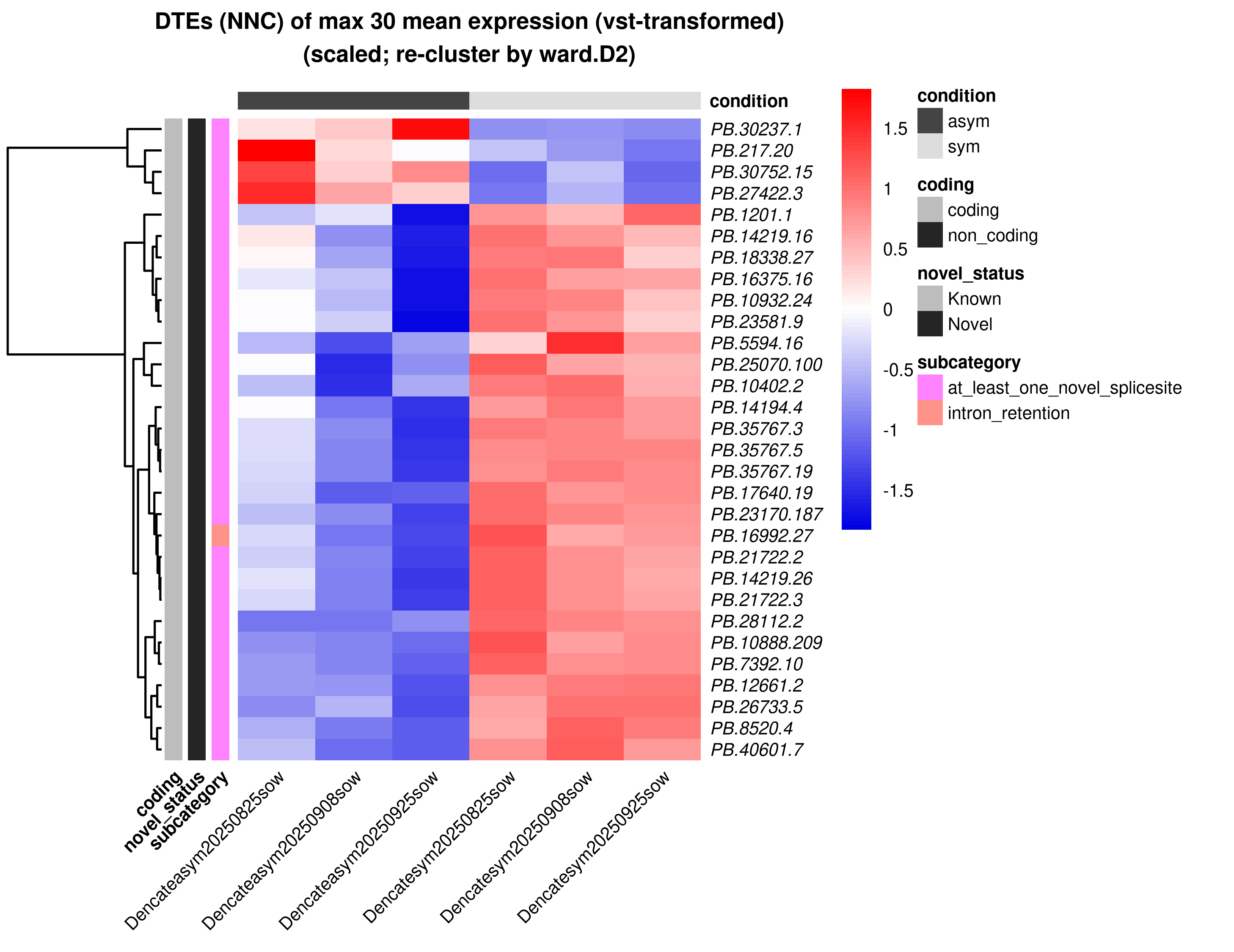 Top NNC isoform expression heatmap