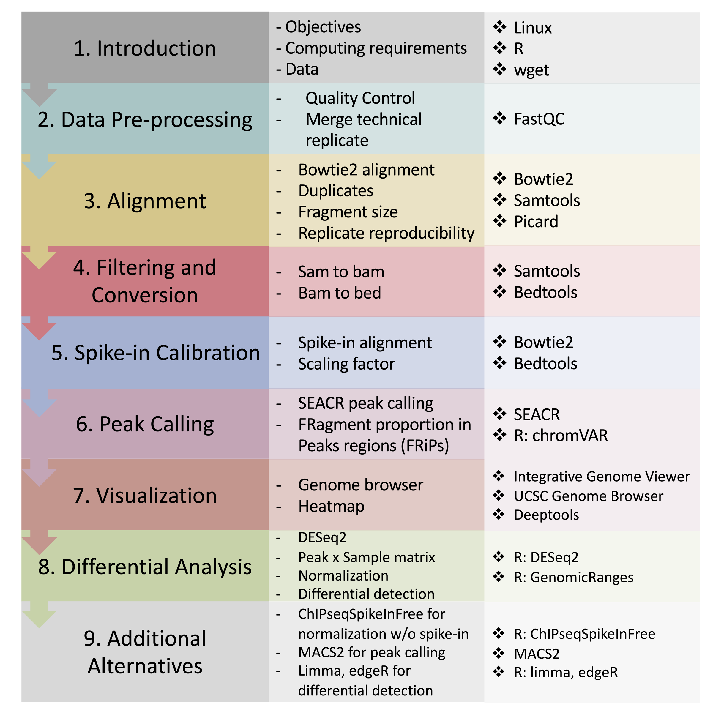 Tagmentation incorporates adapters; downstream library amplification and preparation still depend on the protocol.