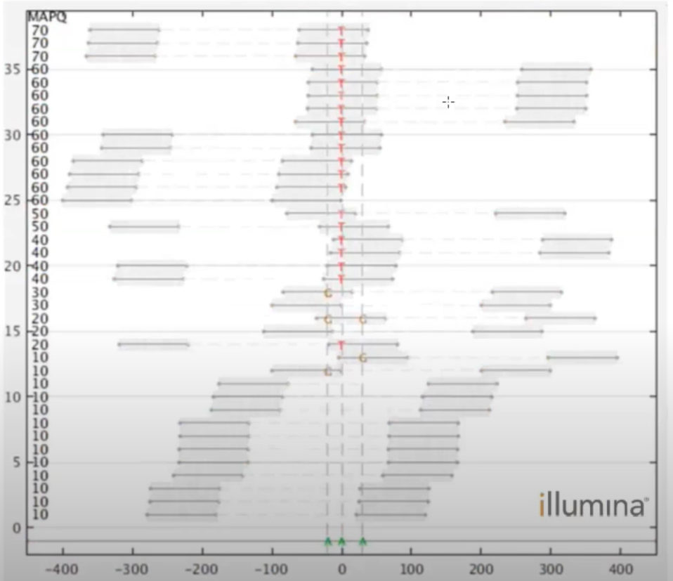 In the example with a 20:4 imbalance, the less frequent GG-supporting reads may have poor quality. They may be foreign reads rather than evidence for a true genotype.