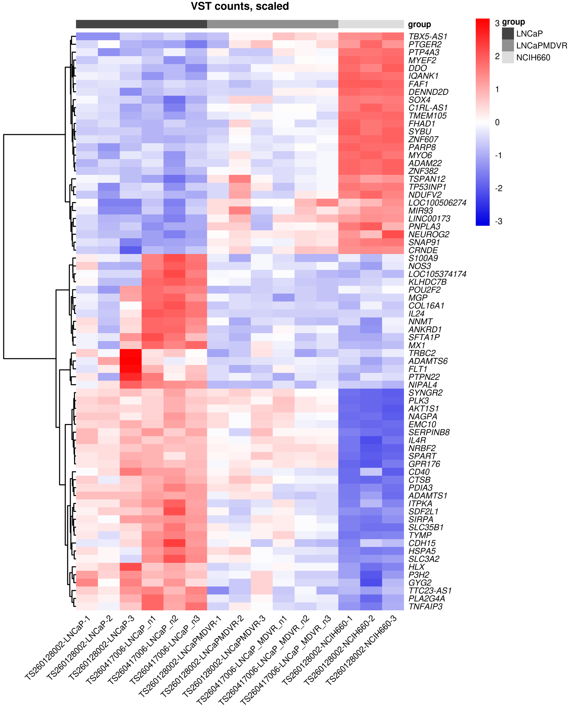 Row-scaled target-gene expression heatmap