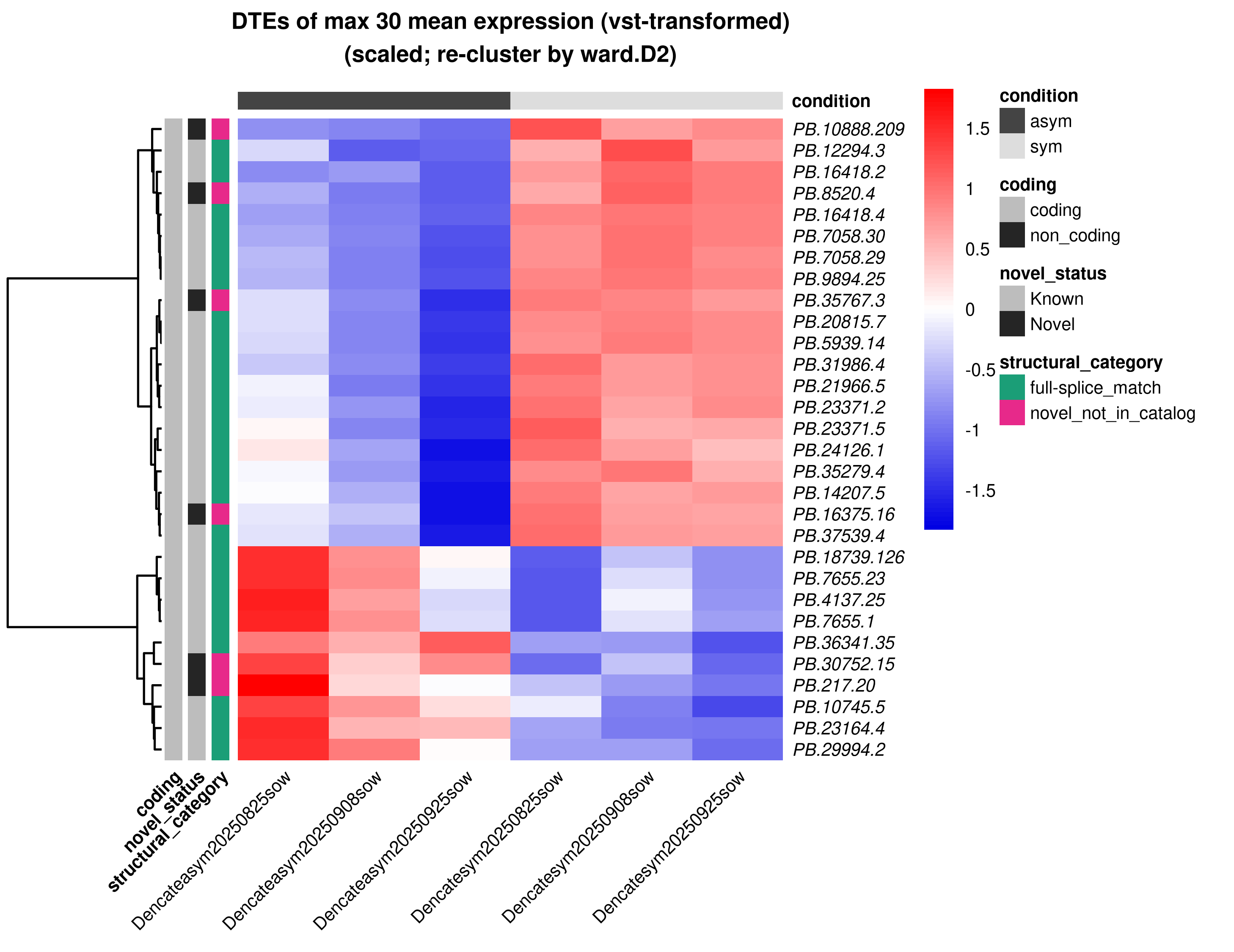 Combined top isoform expression heatmap