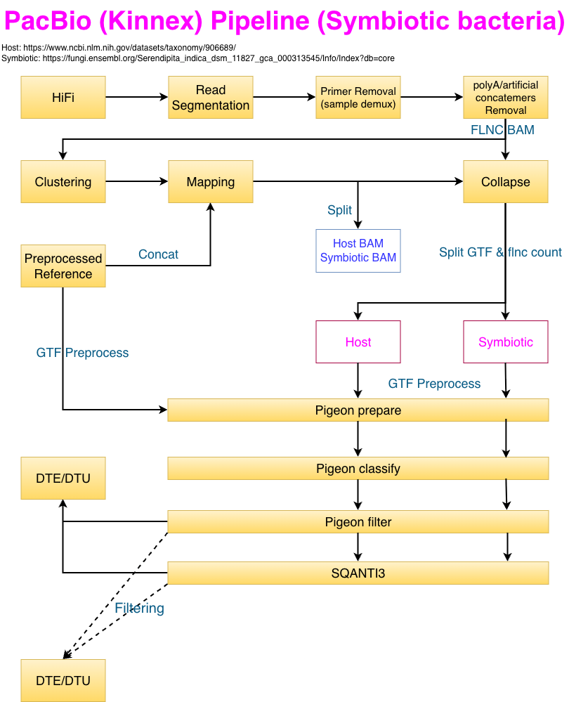 Host–symbiont PacBio analysis workflow