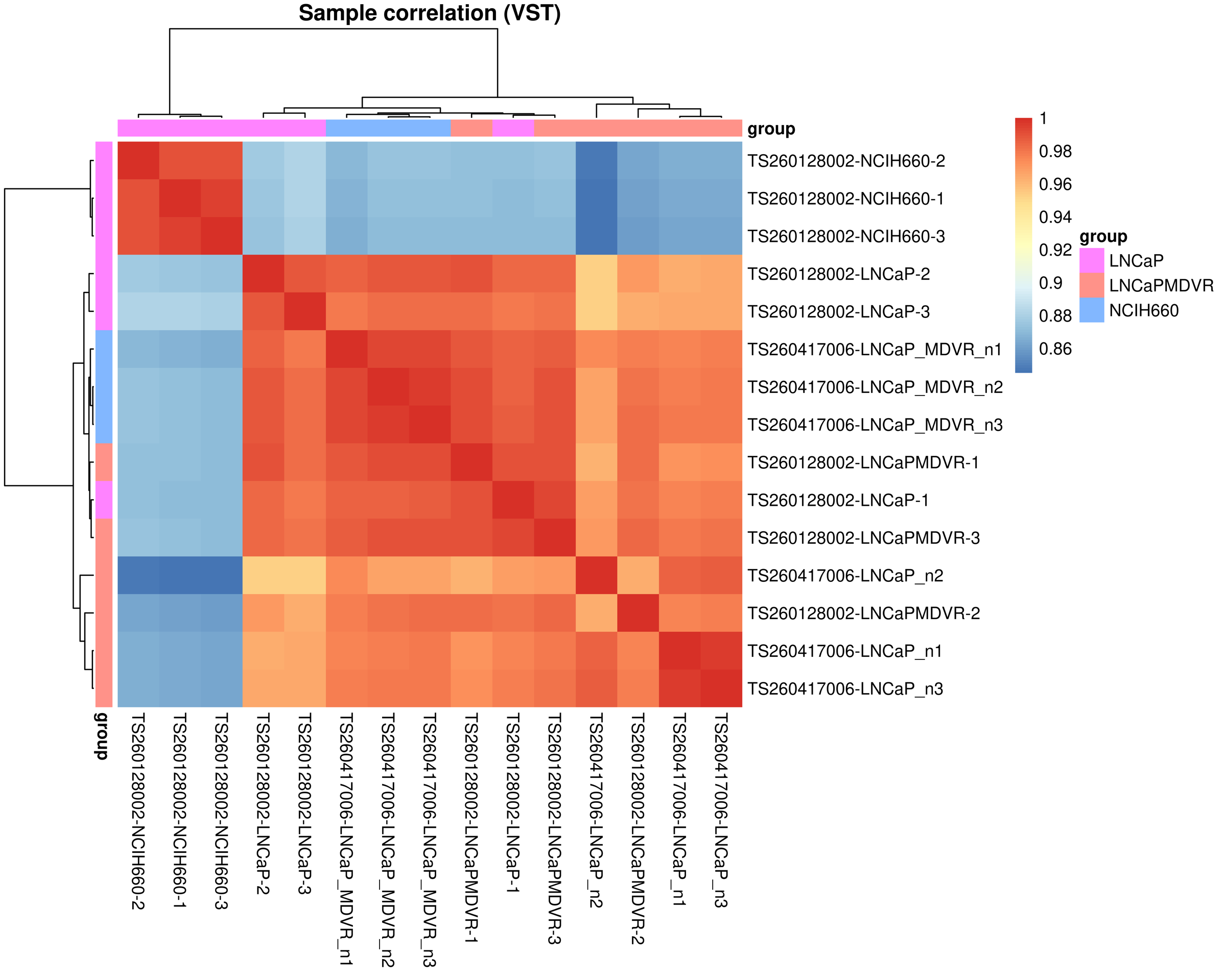 Correlation heatmap using all genes across samples