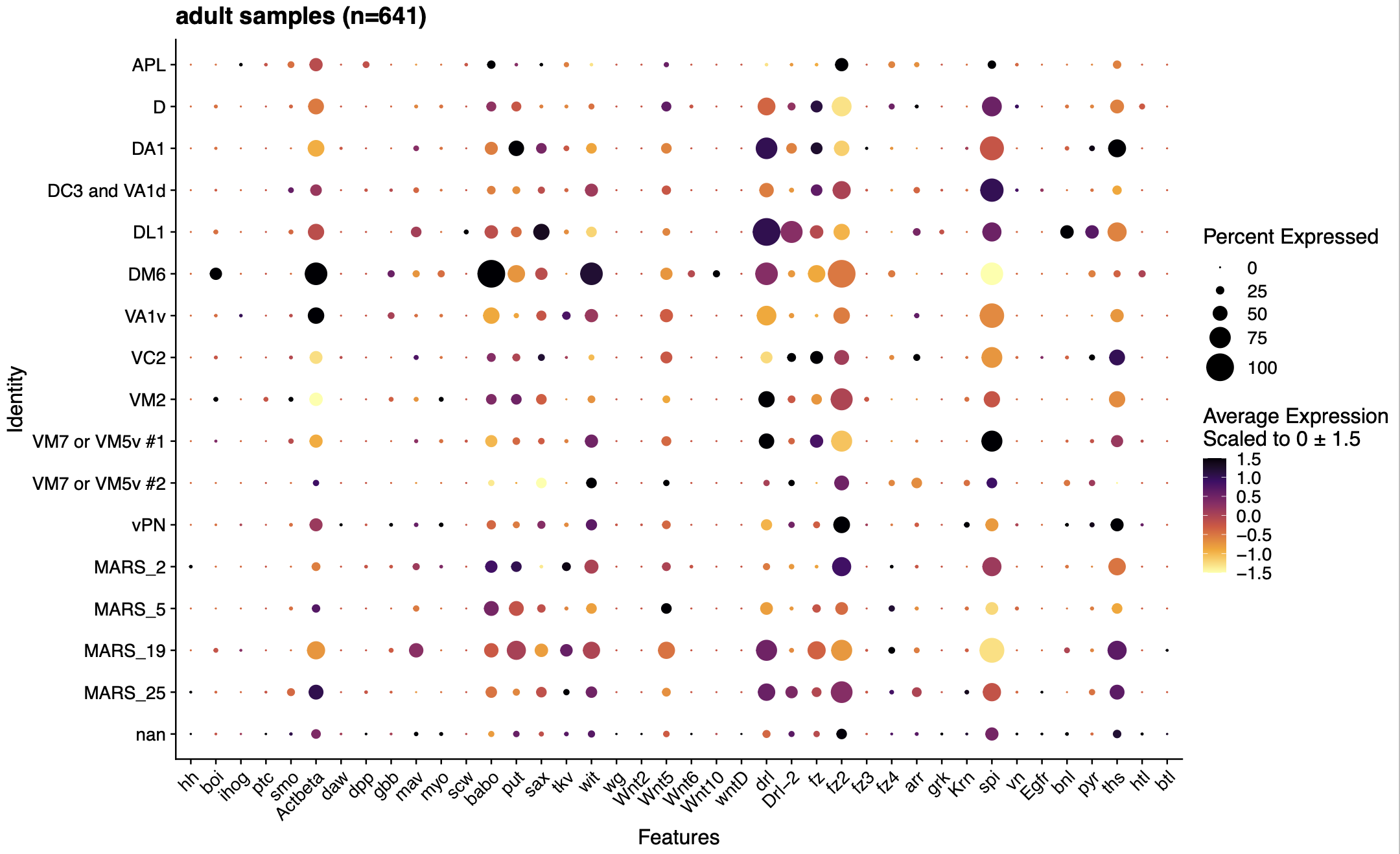 Example output from DotplotNN