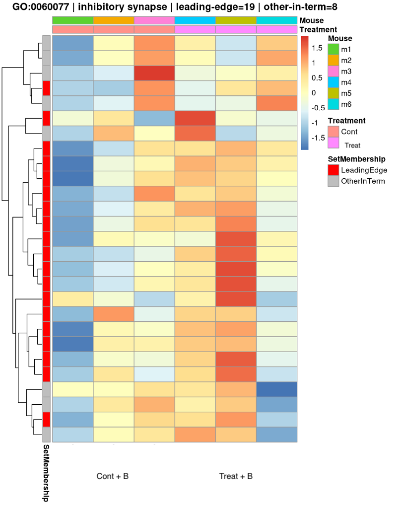GSEA results for the within-individual analysis