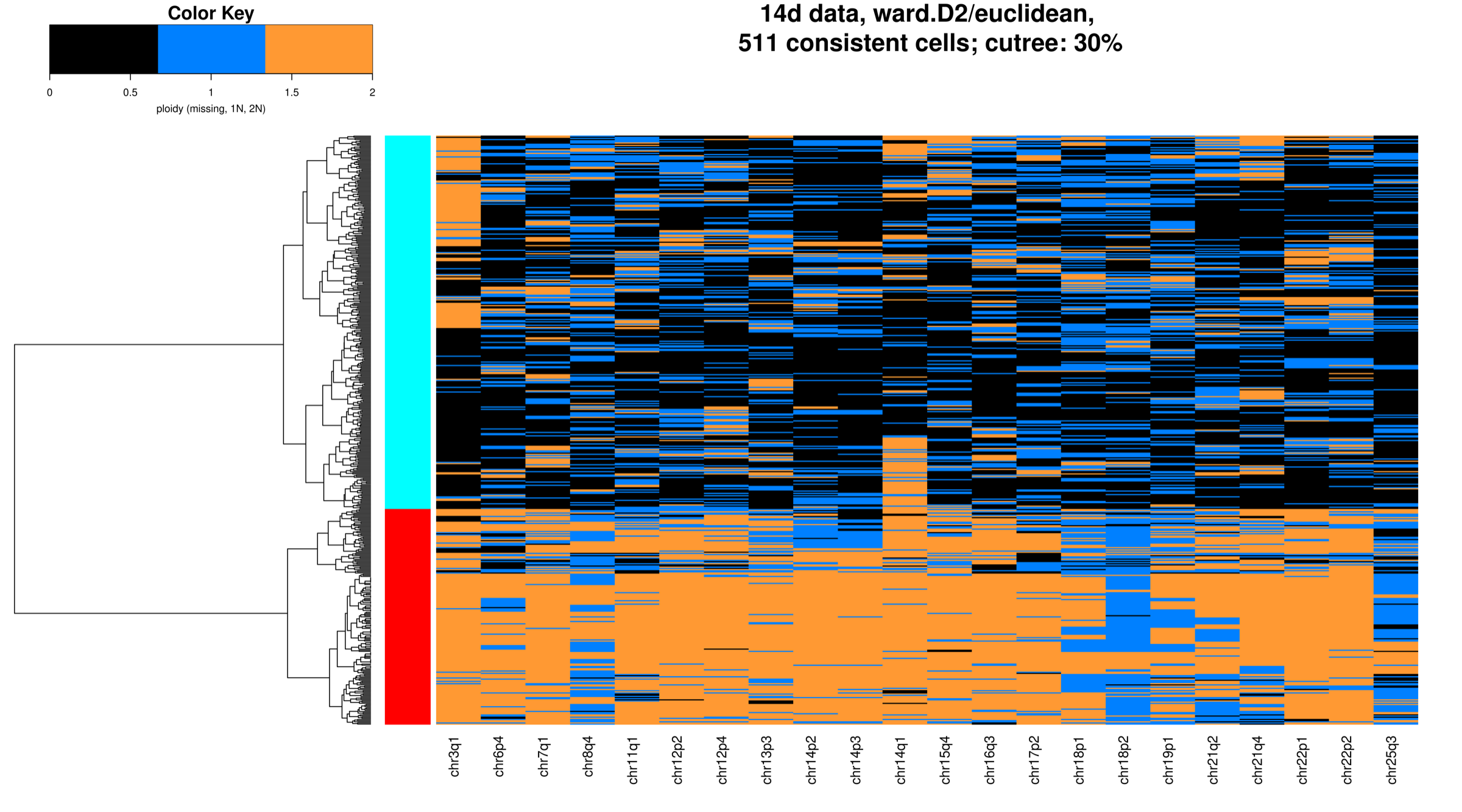 Cell-by-chromosome-arm heatmap for the 14-day dataset